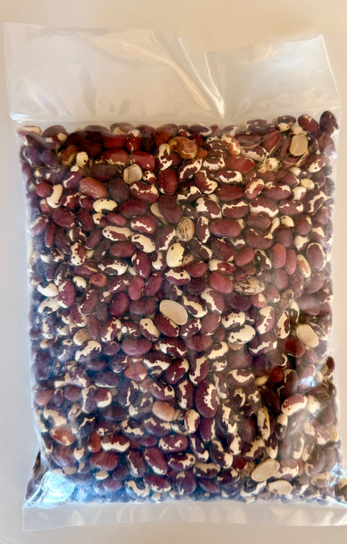 Adobe Milling Company ANASAZI beans 1 lb